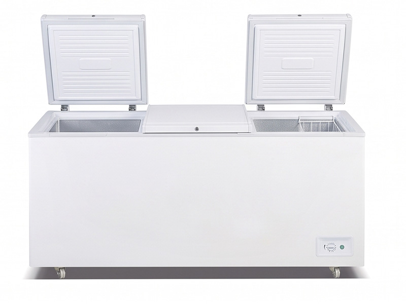 Immortal Commercial Chest Freezer (220V)